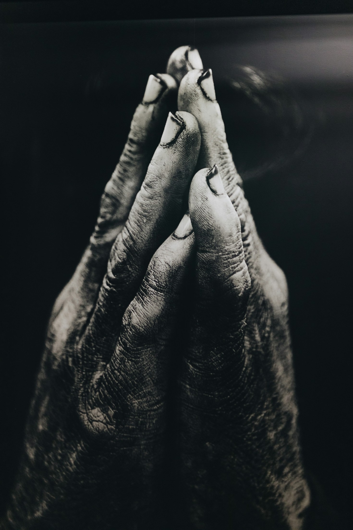 Exploring Biblical Teachings on Forgiveness