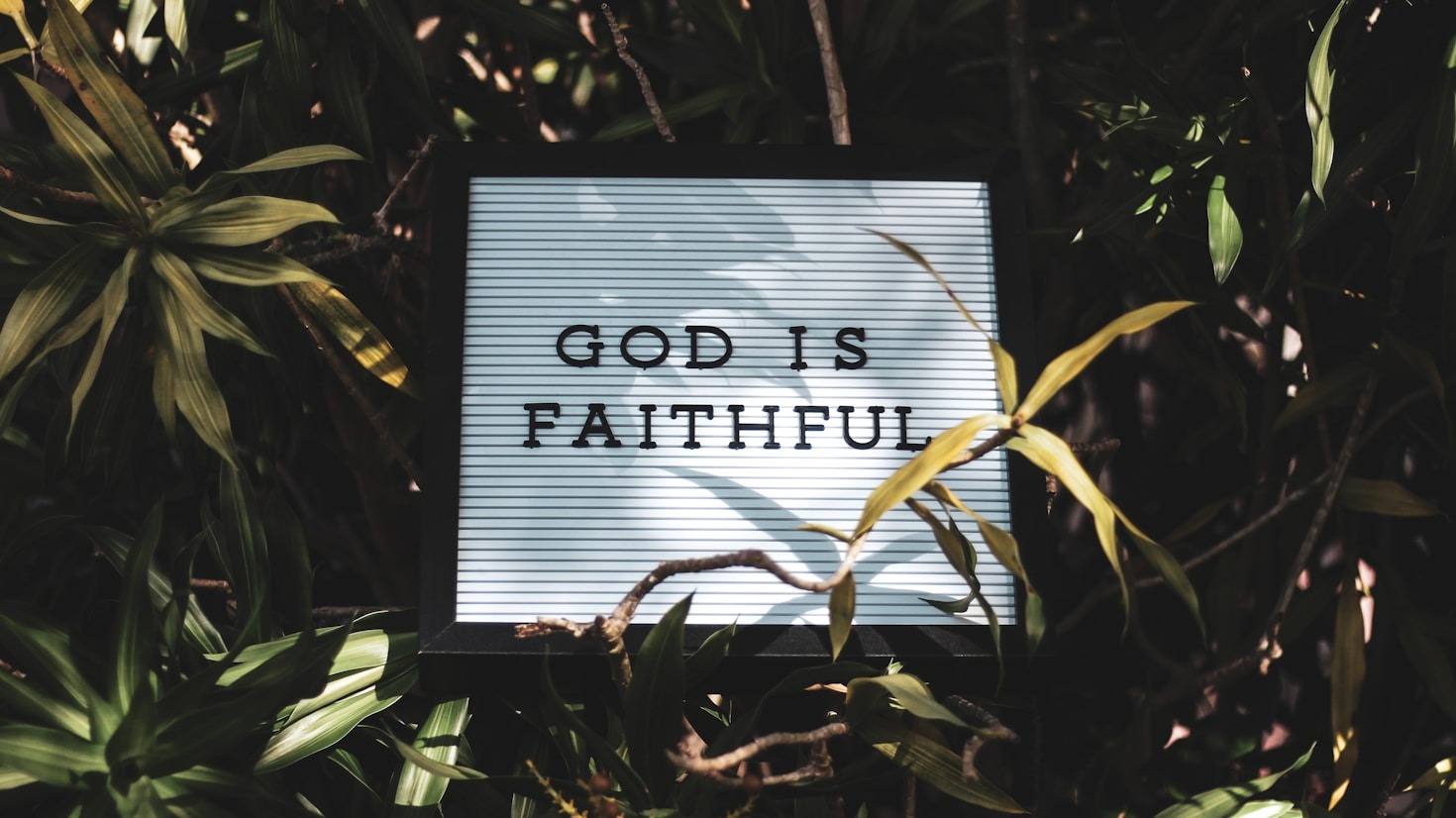 Modern Applications of Ancient Biblical Wisdom